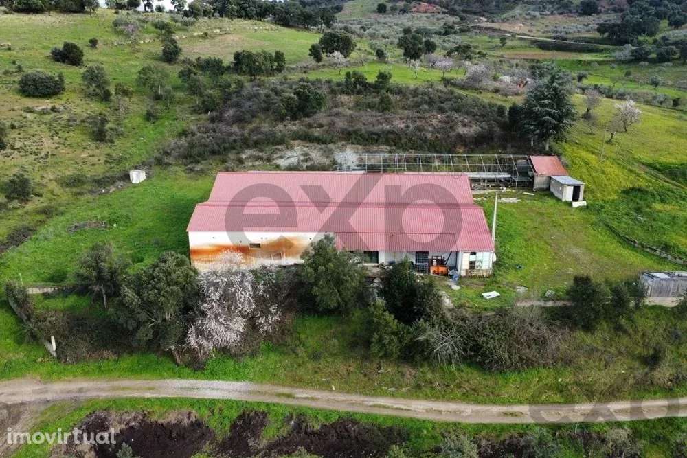 Armazém em Mirandela - 602m² de Oportunidade - Grande imagem: 4/9