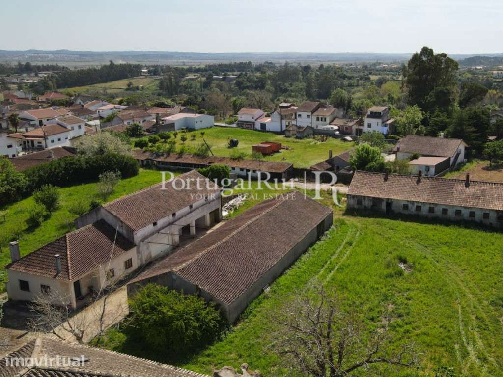 Quinta do Sec. XVII com 14 ha, capela, piscina e exploração agrícol... - Grande imagem: 4/59
