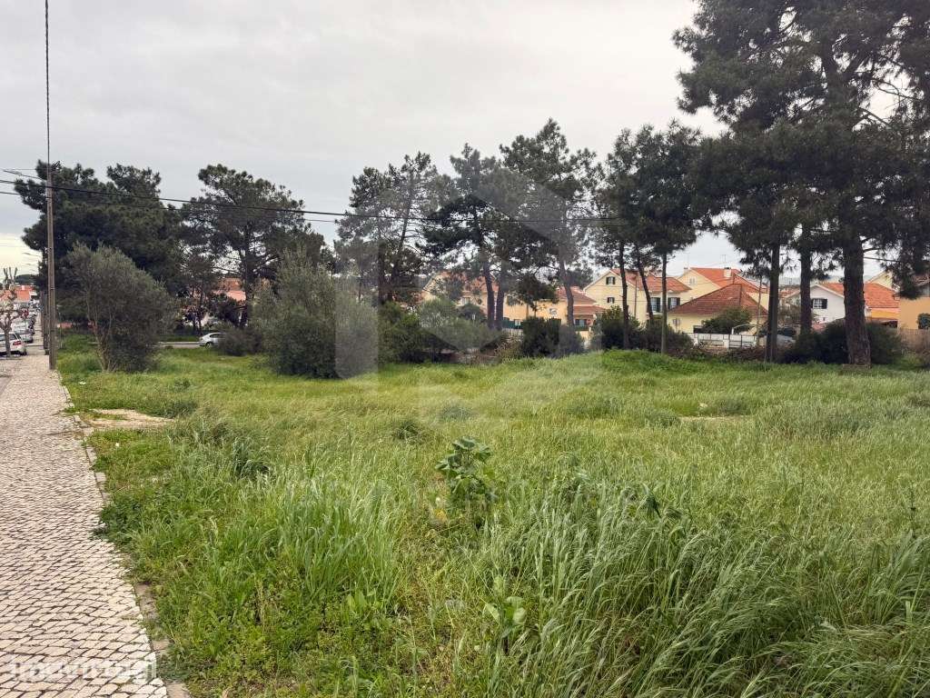 Terreno Urbano para Investimento - Excelente Oportunidade na Quinta... - Grande imagem: 2/5