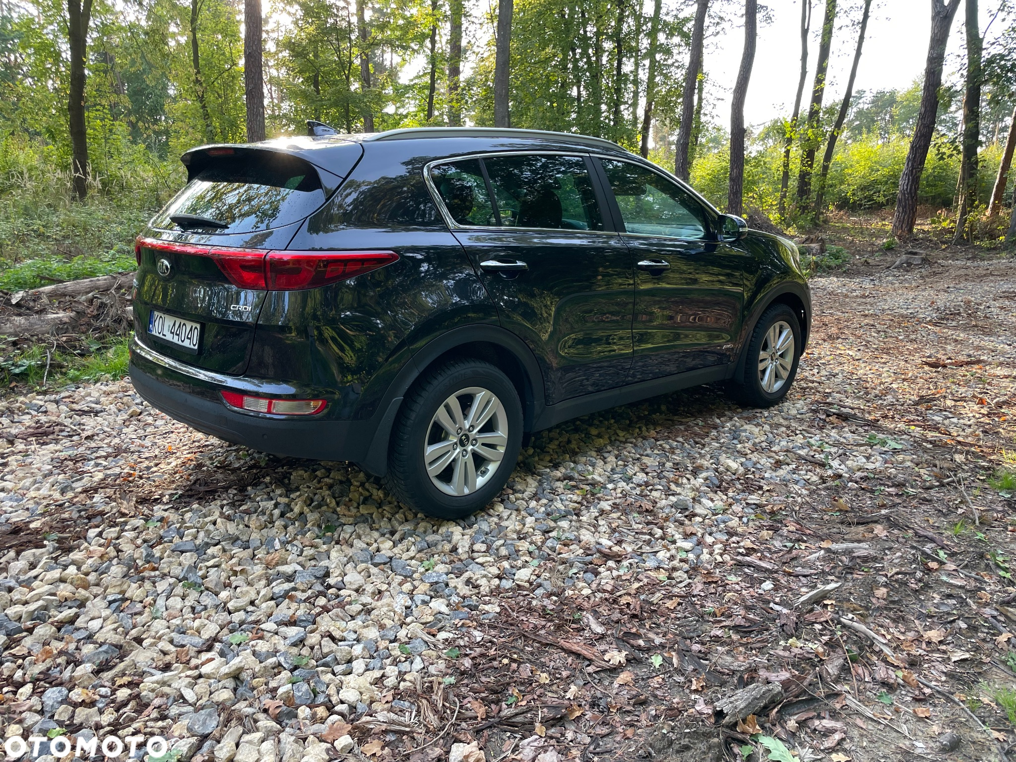 Kia Sportage 2.0 CRDI L 4WD - 12