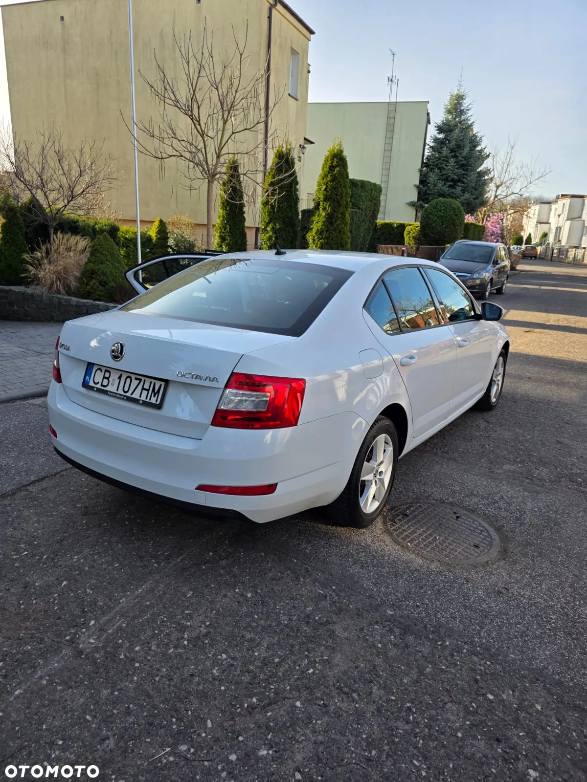 Skoda Octavia 1.4 TSI Ambition - 18