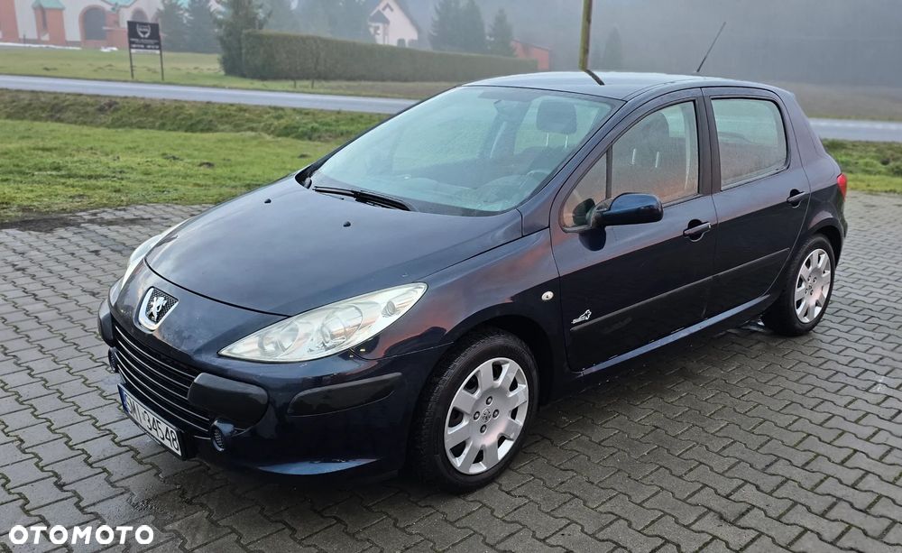 Peugeot 307 - 5