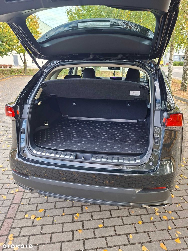 Lexus NX - 8