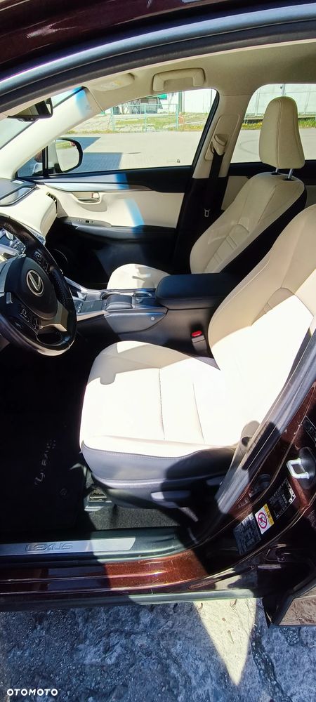 Lexus NX 300 Elegance AWD - 7