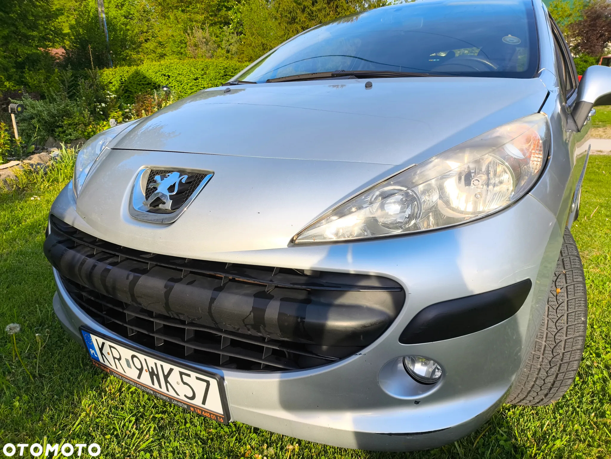 Peugeot 207 - 7