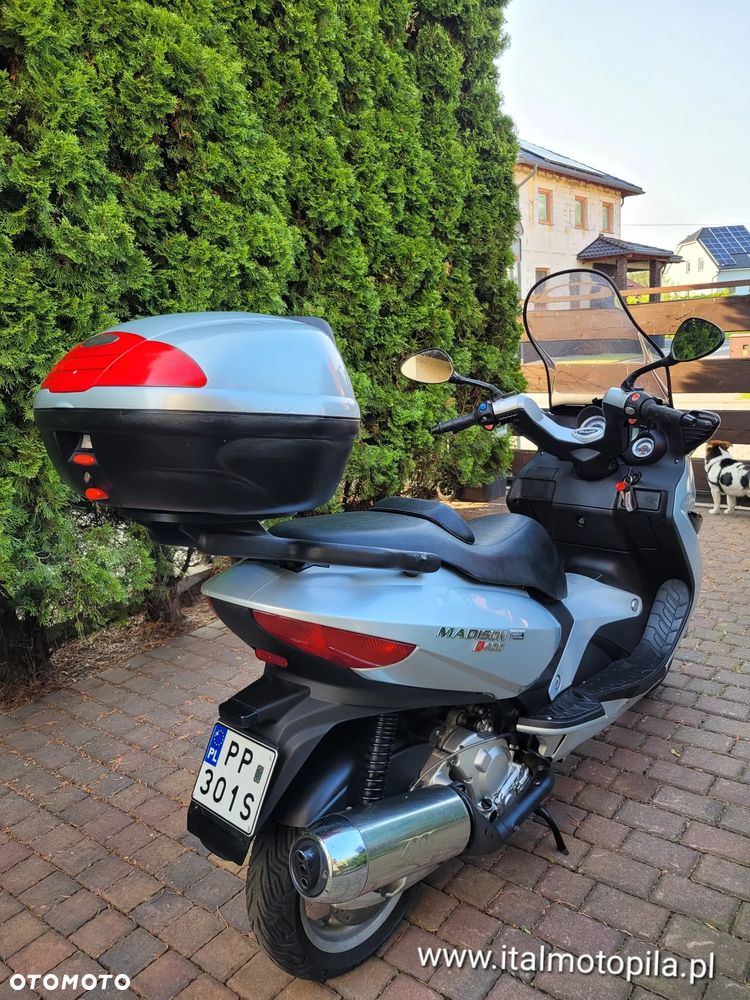 Malaguti Madison - 28