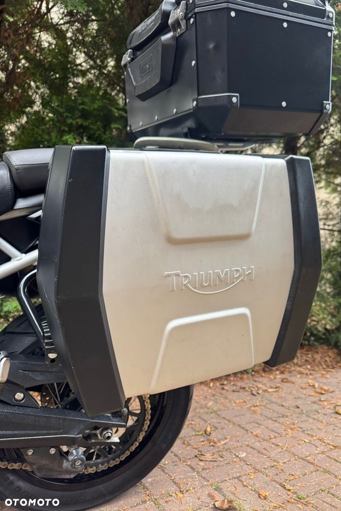 Triumph Tiger - 17