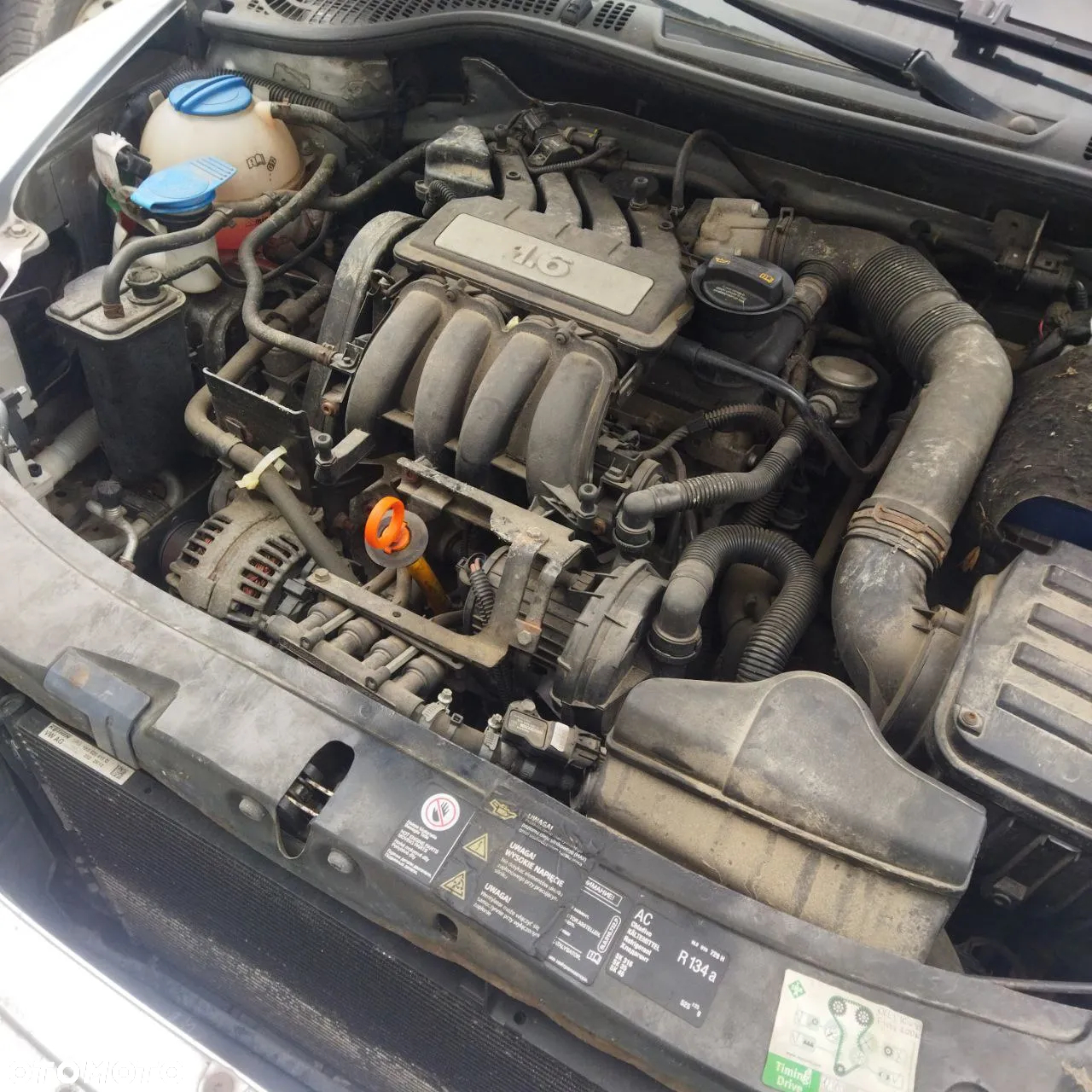 Skoda Octavia 1.6 Classic - 7