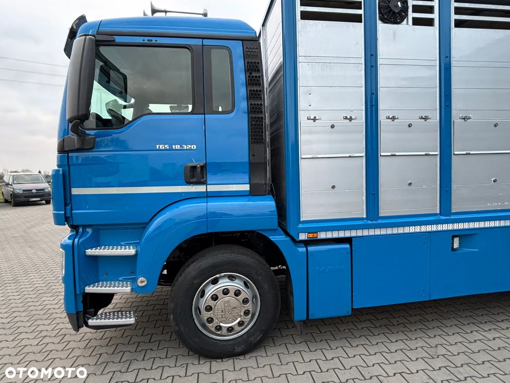 MAN TGS 18.320 2010 rok do przewozu zwierząt , do żywca, do bydła ,zabudowa FINKL z przegordami i wentylatorami , rampa hydrauliczna , z Niemiec - 8