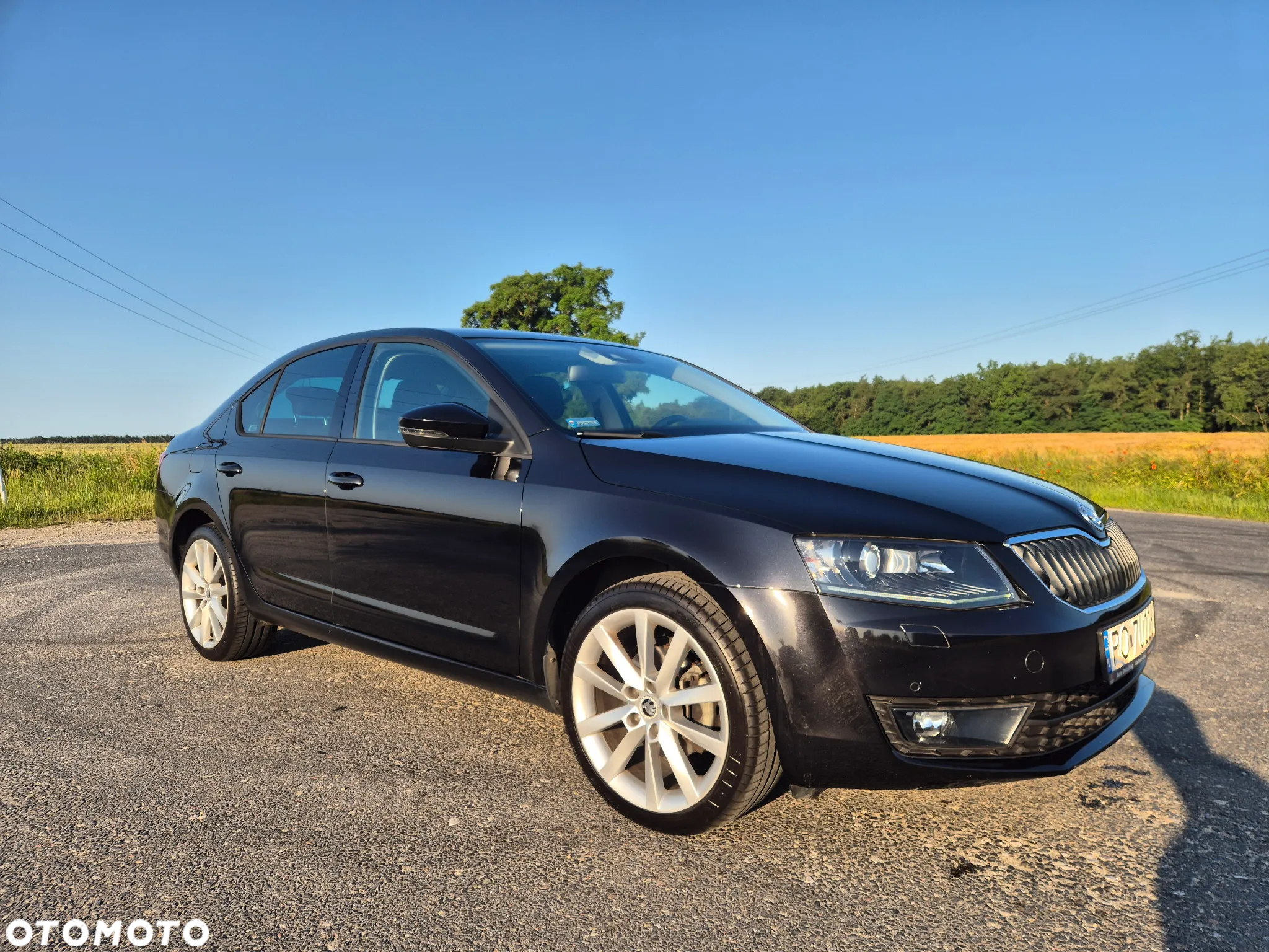 Skoda Octavia 1.4 TSI Active - 8