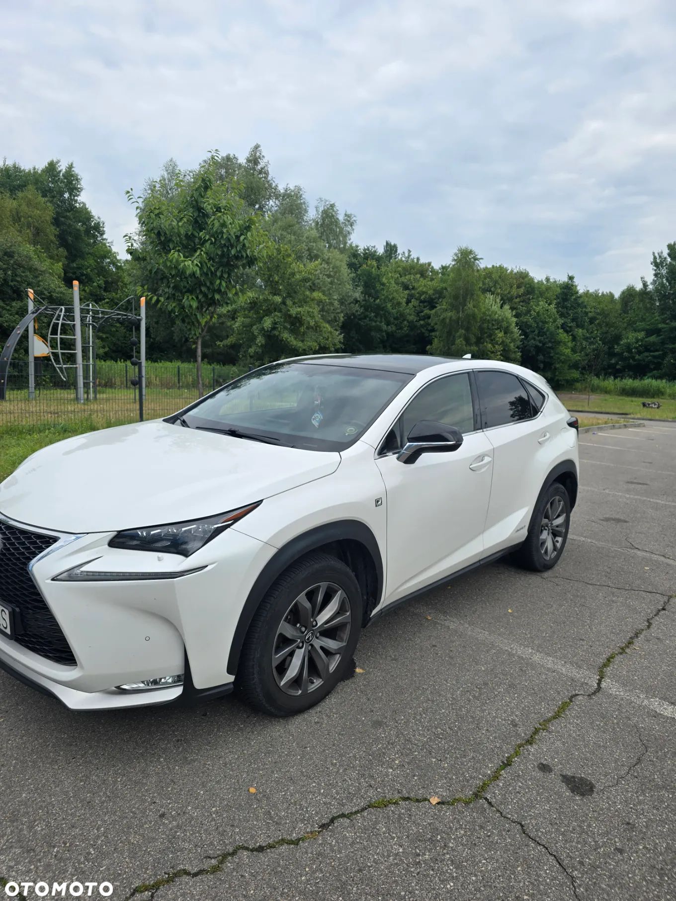Lexus NX 300h F Sport Edition AWD - 1