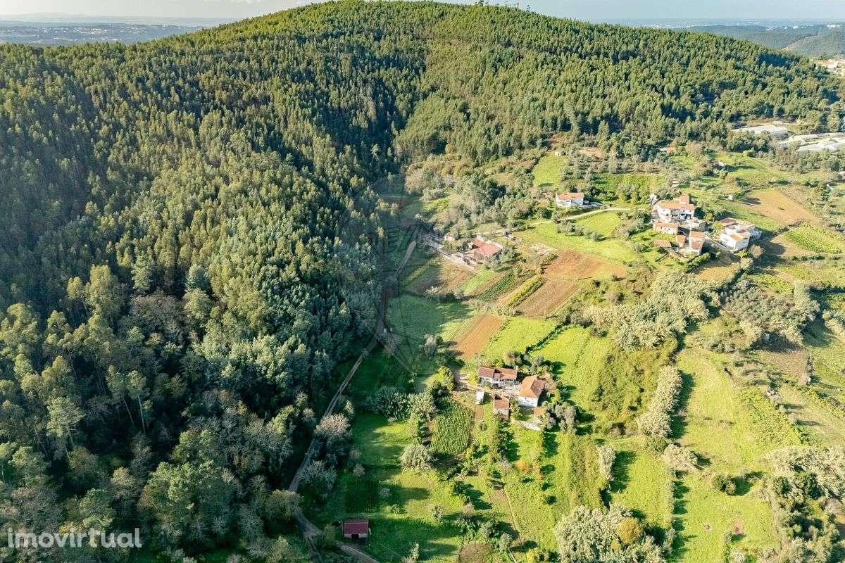 Terreno  para venda - Grande imagem: 3/15