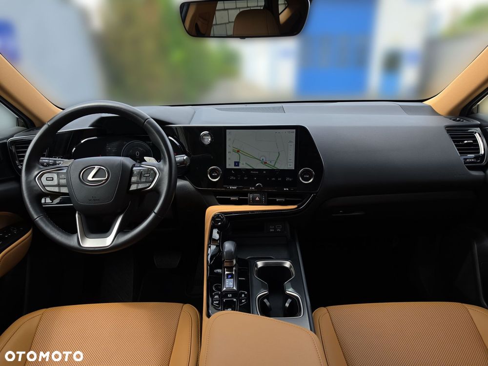 Lexus NX - 10