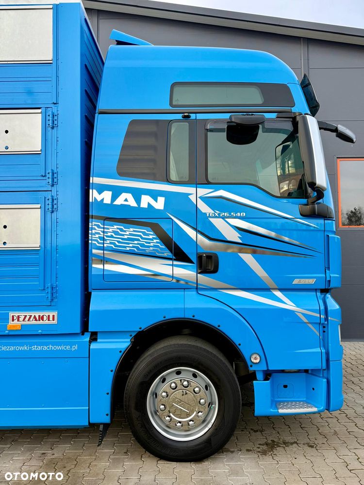 MAN TGX 26.540 // E6 // Zabudowa PEZZAIOLI // 3 poziomy hydraulika, podnoszony dach, rampa hydrauliczna // do żywca, do bydła, do transportu zwierząt - 26