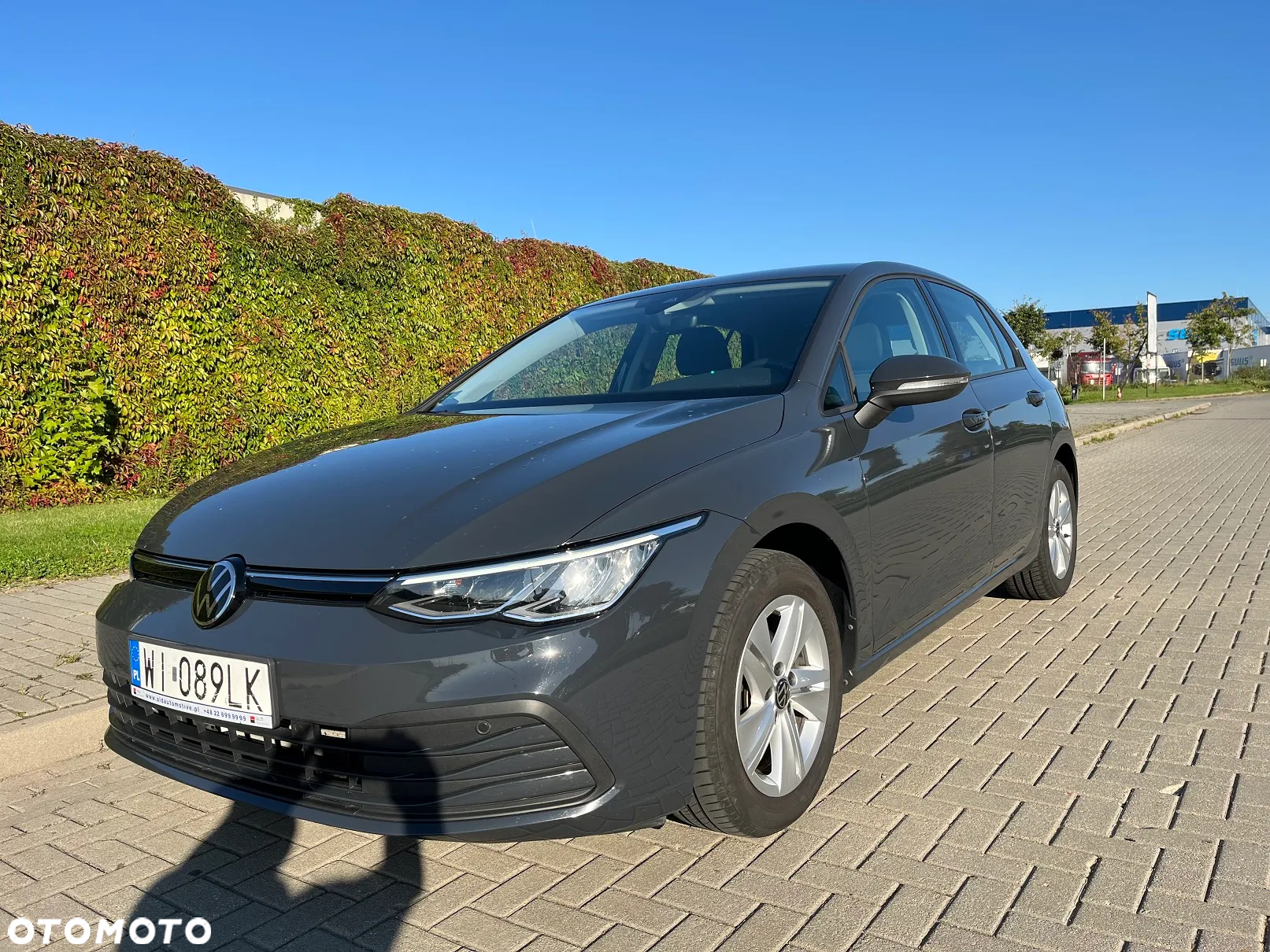 Volkswagen Golf - 9
