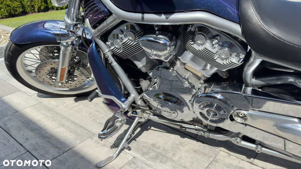 Harley-Davidson V-Rod Street Rod - 7