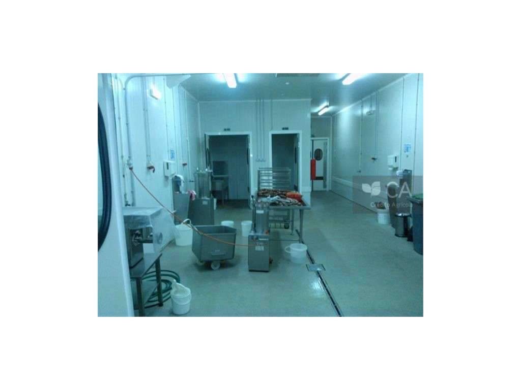 Armazém e actividade industrial (Salsicharia) - Grande imagem: 4/5