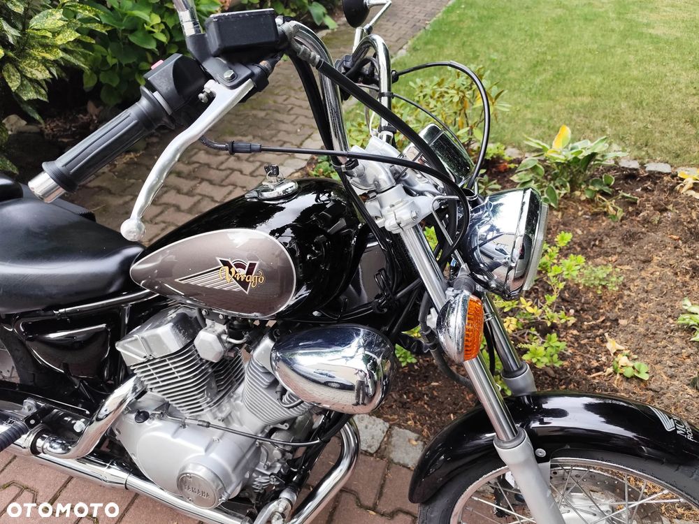 Yamaha Virago - 3