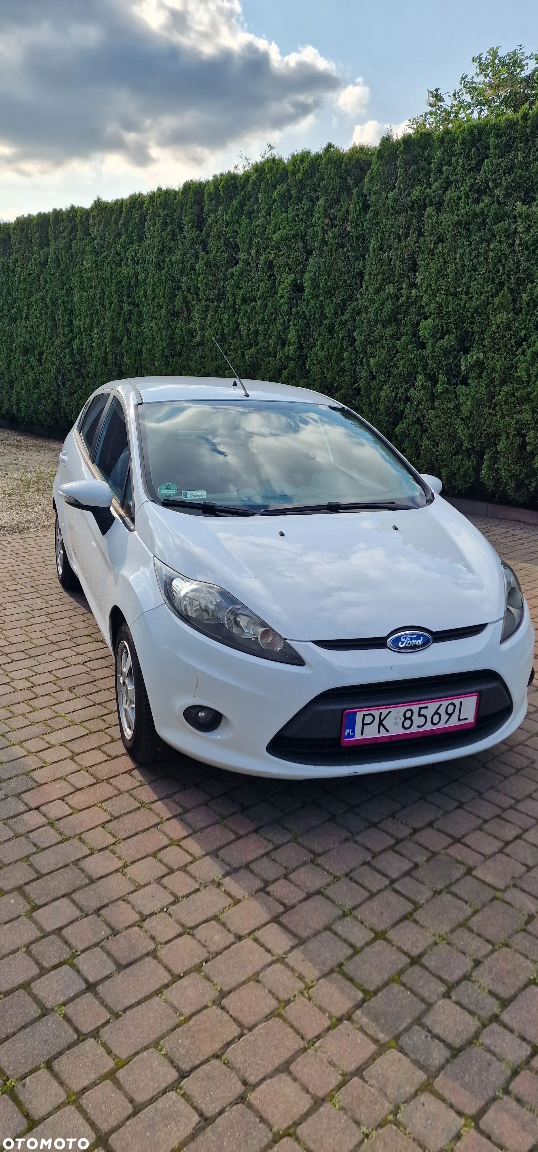 Ford Fiesta - 1