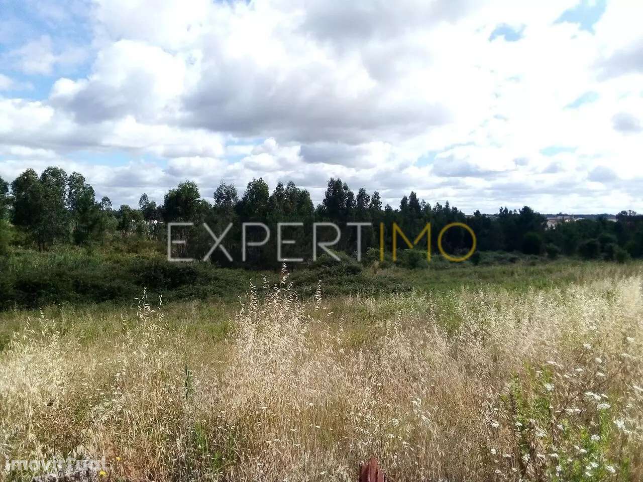 Terreno Manique do Intendente Azambuja com 2,6 hectares - Grande imagem: 5/15