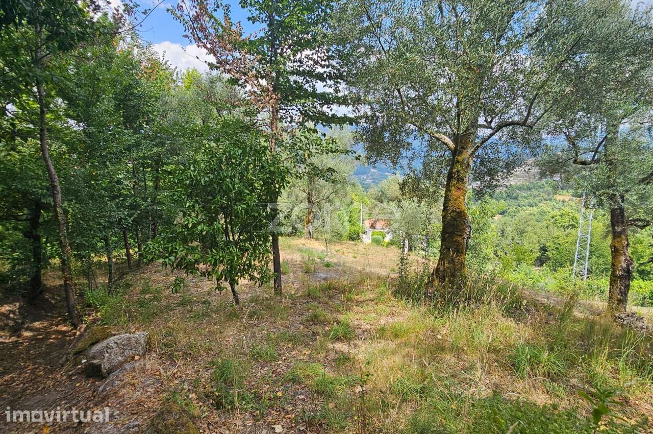 Moradia T1 para Reabilitação com Terreno em Lamelas, Ribas – Celori... - Grande imagem: 4/5