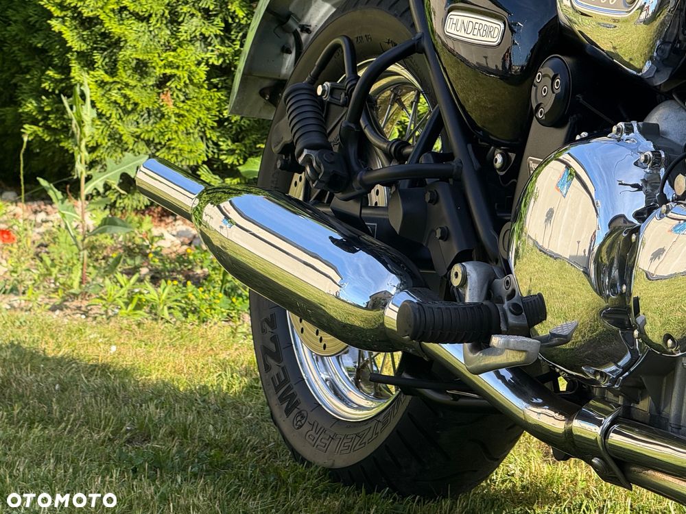 Triumph Thunderbird - 5
