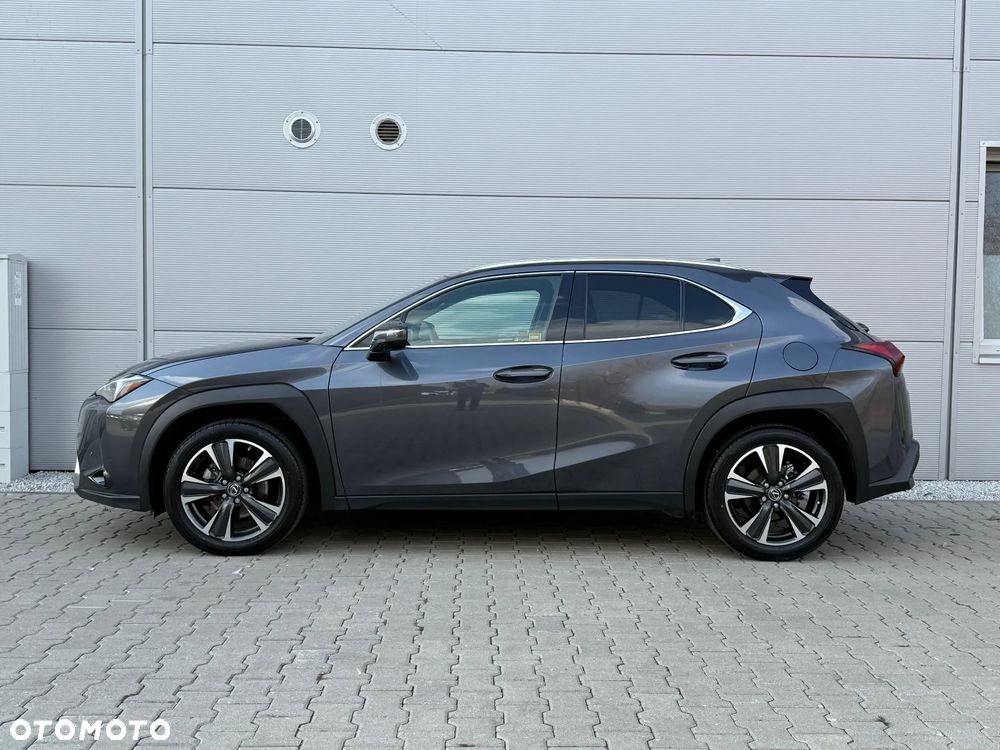 Lexus UX 250h GPF Business 2WD - 7