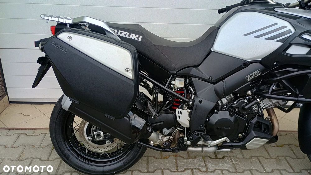 Suzuki DL - 31