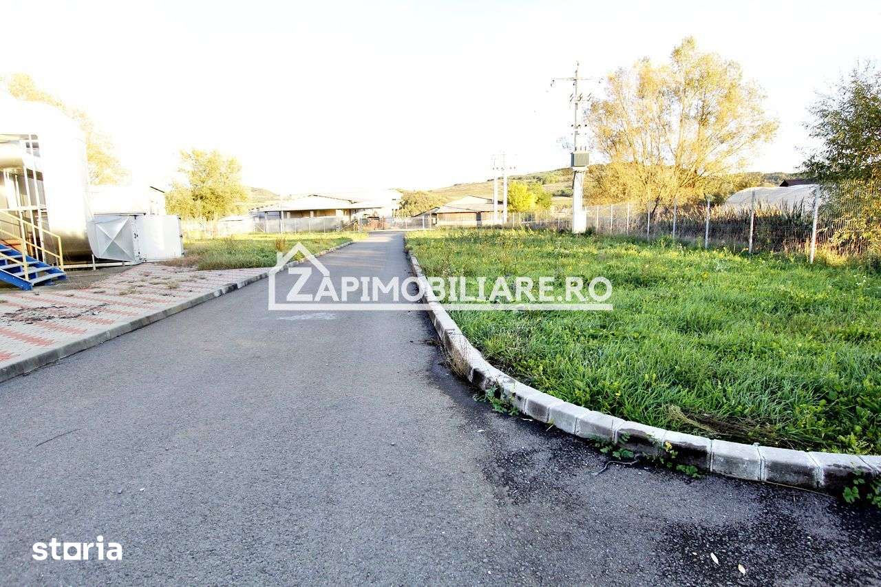Spatiu de inchiriat Craiesti - Imagine principală: 3/16