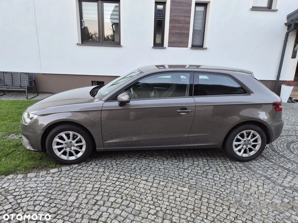 Audi A3 1.6 TDI Attraction - 2