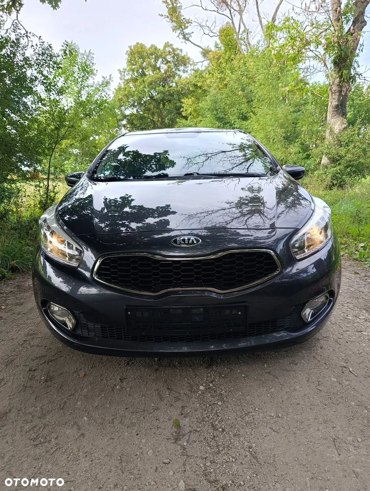 Kia Ceed 1.6 CRDi 128 Fifa World Cup Edition - 13