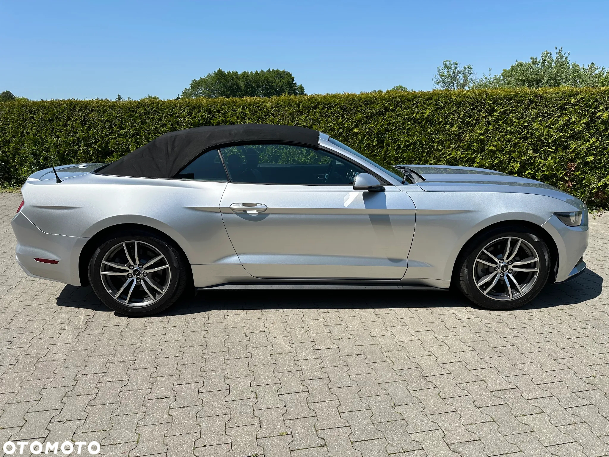 Ford Mustang Cabrio 2.3 Eco Boost - 29