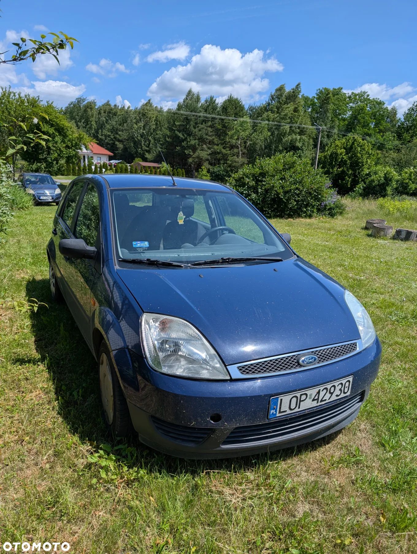 Ford Fiesta - 1