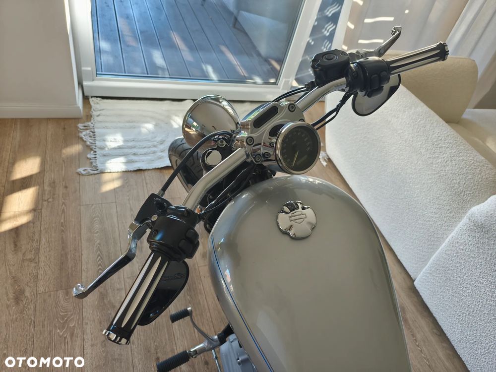 Harley-Davidson Sportster Custom 883C - 5