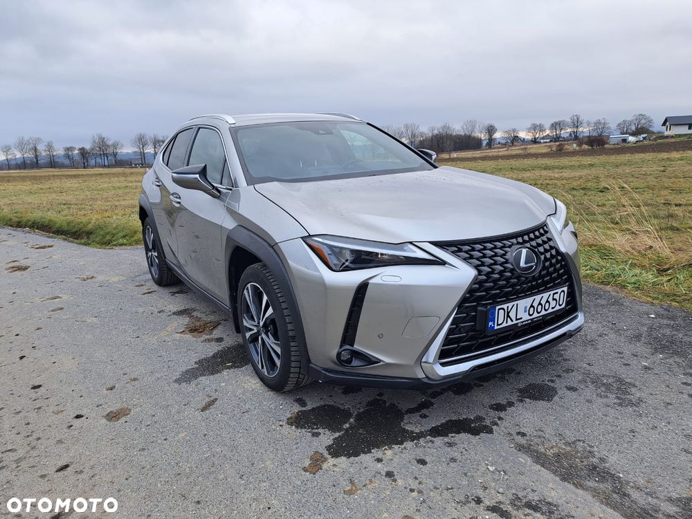 Lexus UX 200 GPF Business Edition 2WD - 2