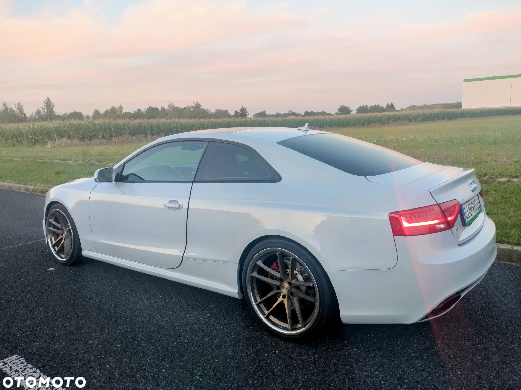Audi RS5 Coupé Standard - 16