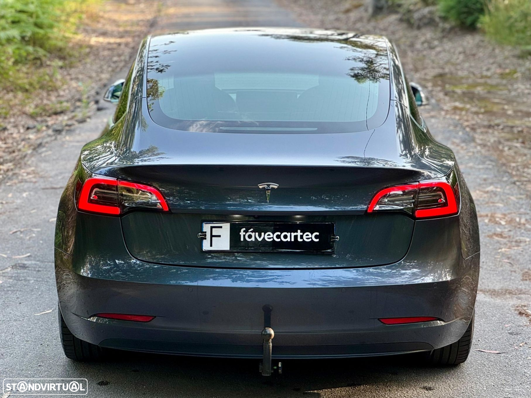 Tesla Model 3 Standard Range Plus RWD - 29