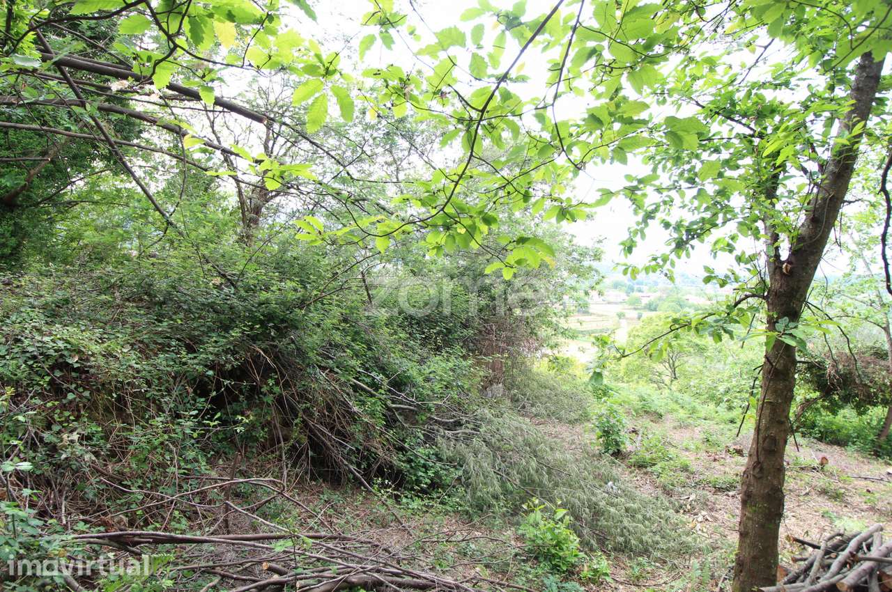 Moradia em Ruinas para recuperar em Rebordões (Souto)-Ponte de Lima - Grande imagem: 5/15