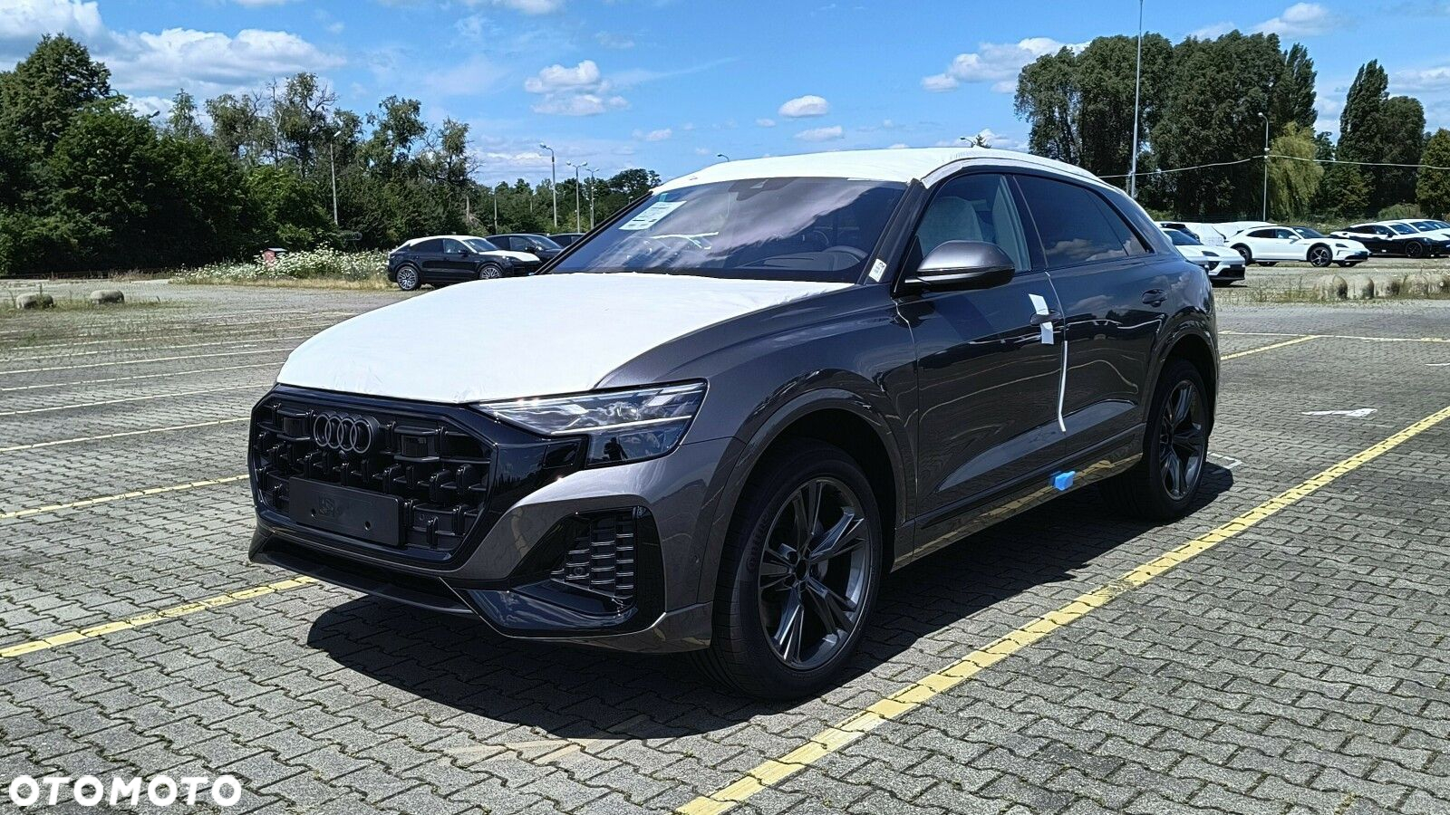 Audi Q8 - 5