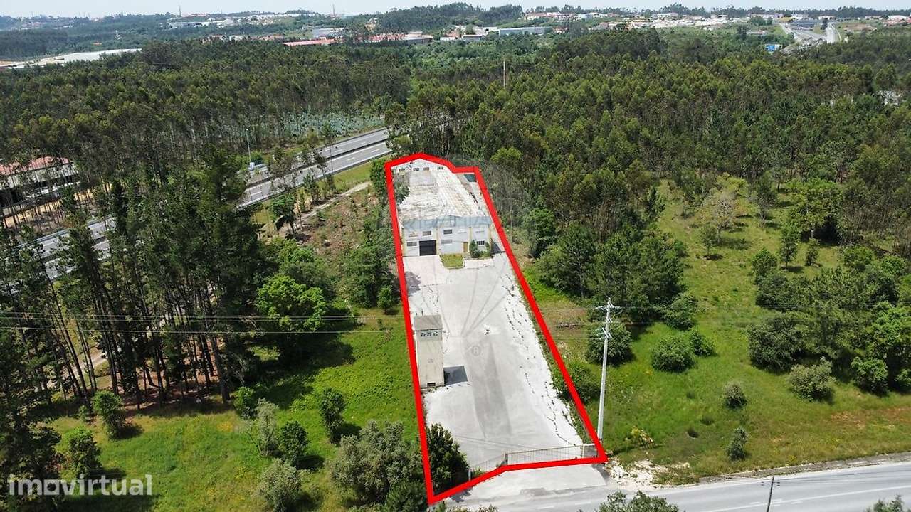 Armazém  para arrendamento - Grande imagem: 2/18