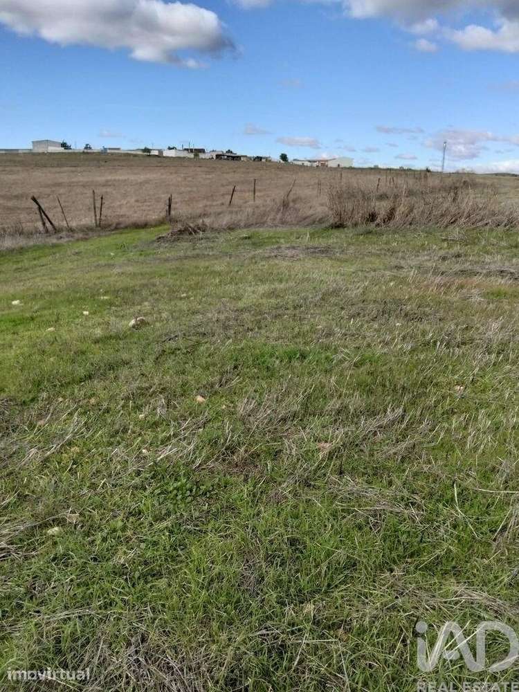 Terreno Agrícola em Baleizão - Grande imagem: 2/4