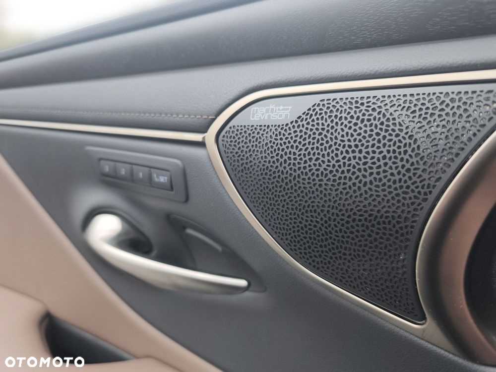 Lexus ES 300h Prestige - 21