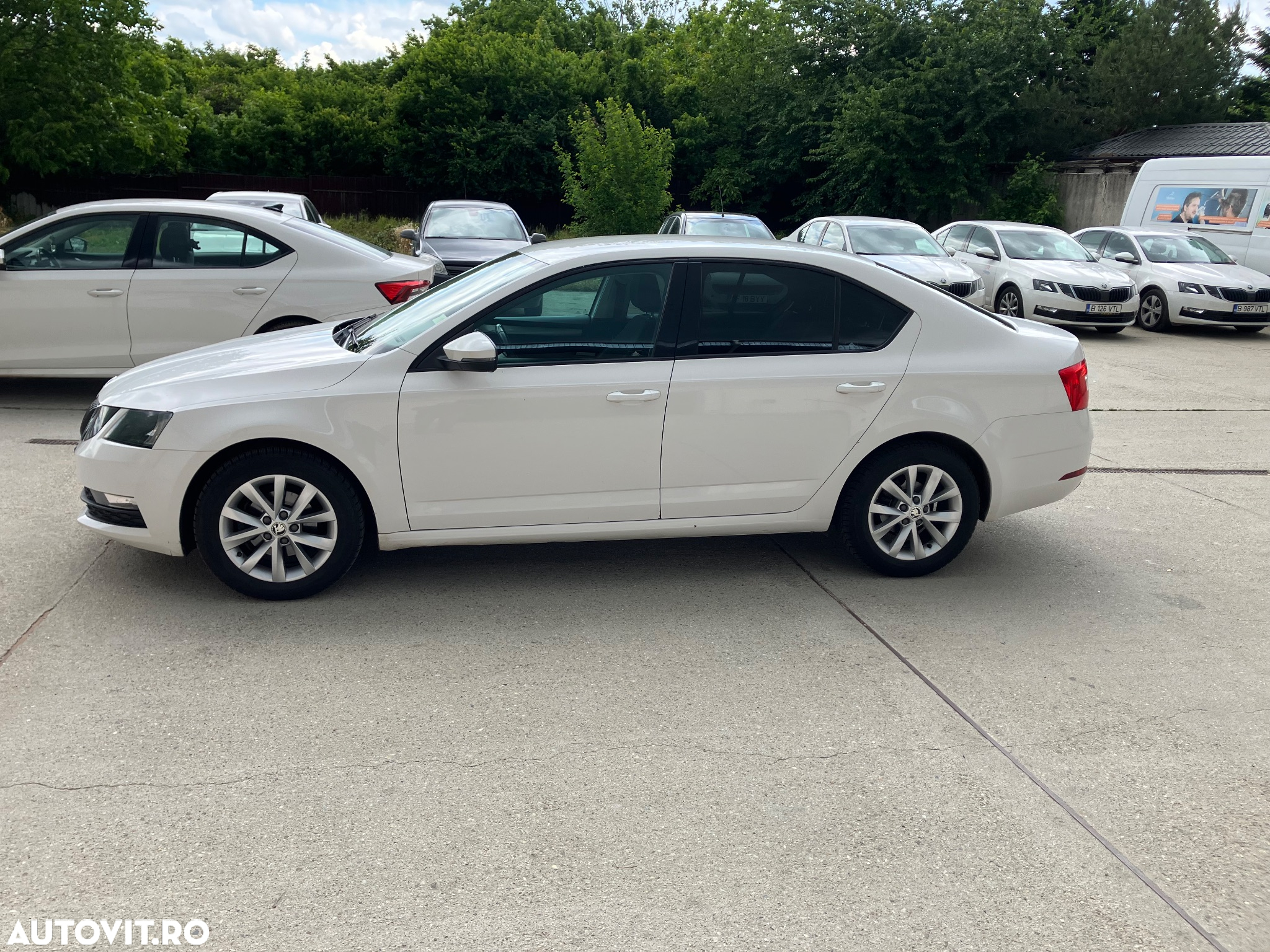 Skoda Octavia Combi Diesel 1.6 TDI Ambition - 6