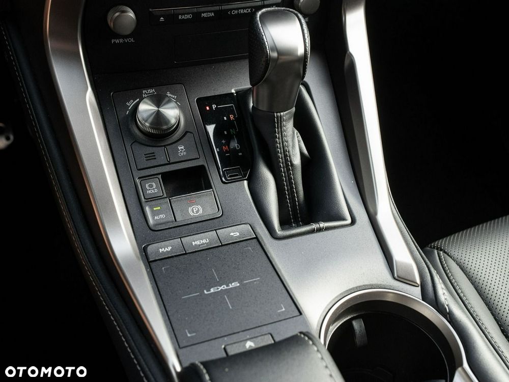Lexus NX 300 GPF F Sport AWD - 17