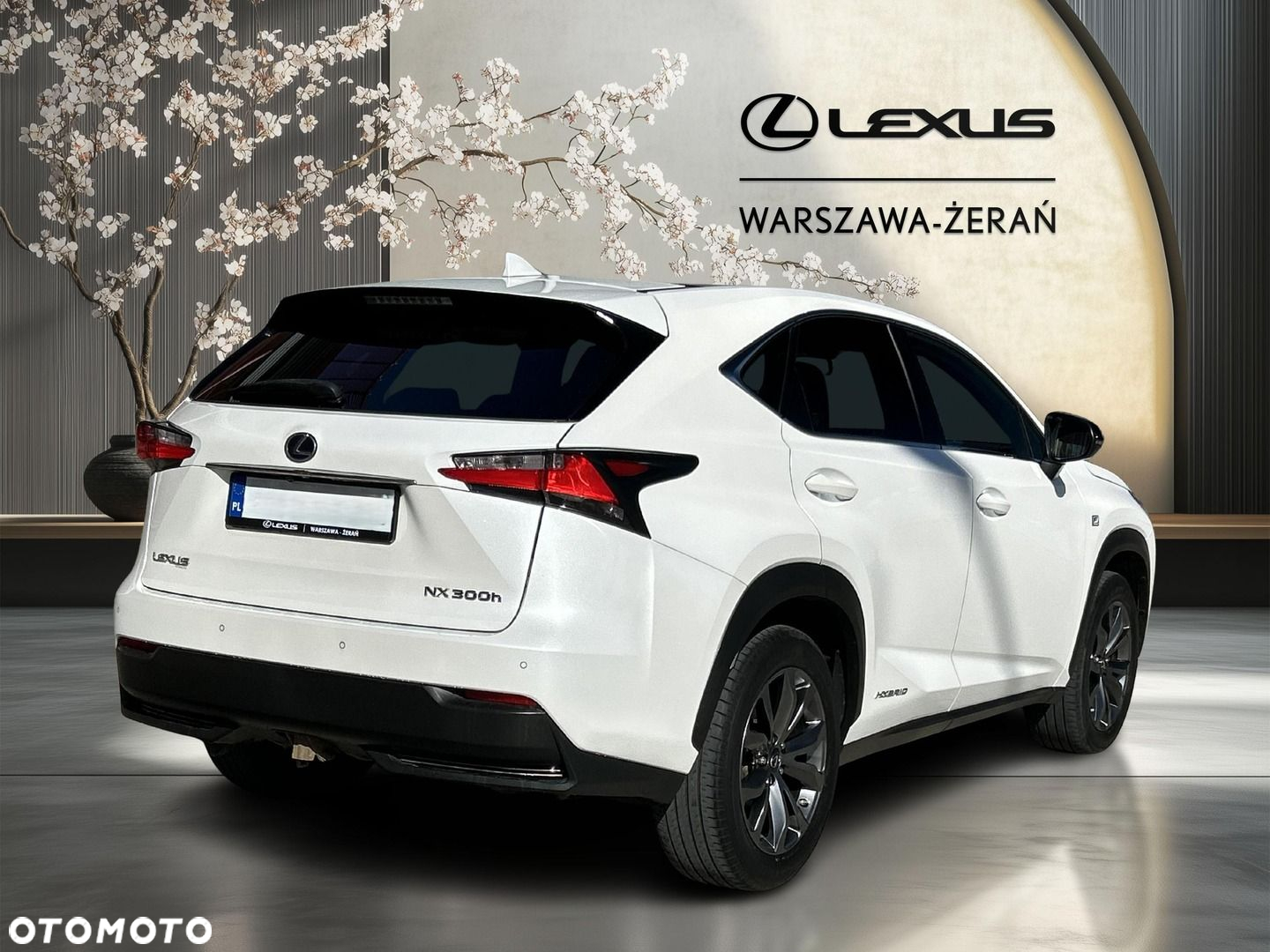 Lexus NX 300h F Sport AWD - 7