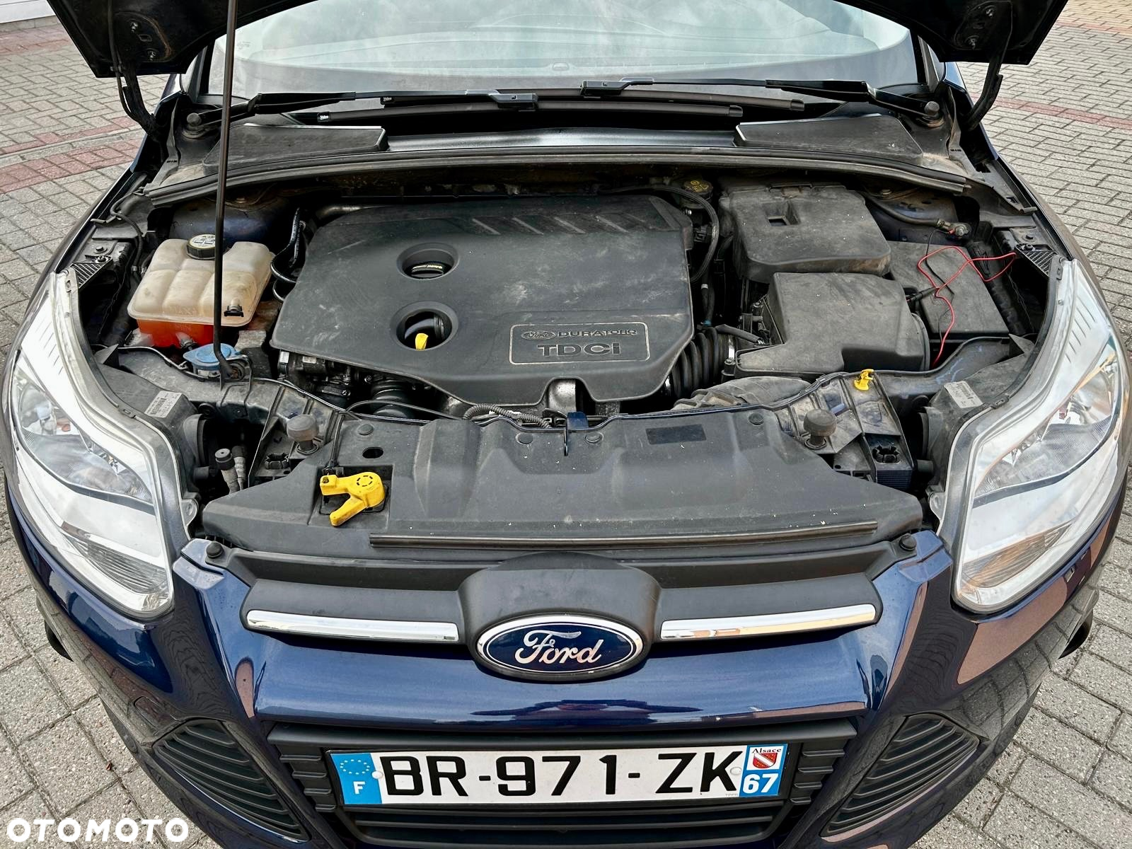 Ford Focus 1.5 TDCi DPF Start-Stopp-System Ambiente - 14