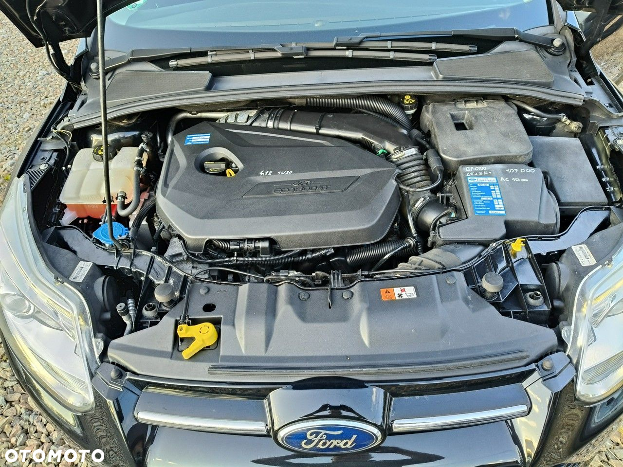 Ford Focus - 19