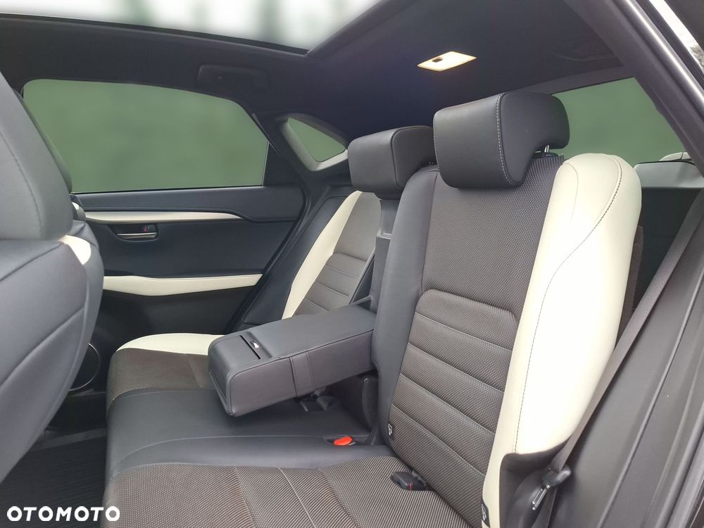 Lexus NX 300 GPF F Sport AWD - 14