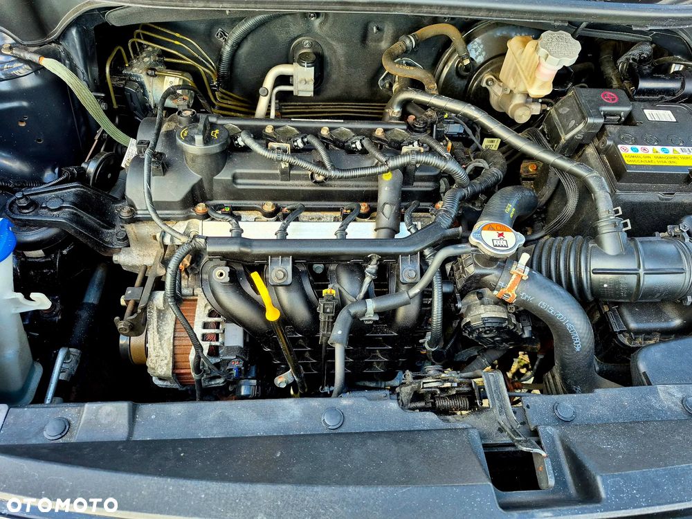 Kia Rio 1.2 Fifa World Cup Edition - 6