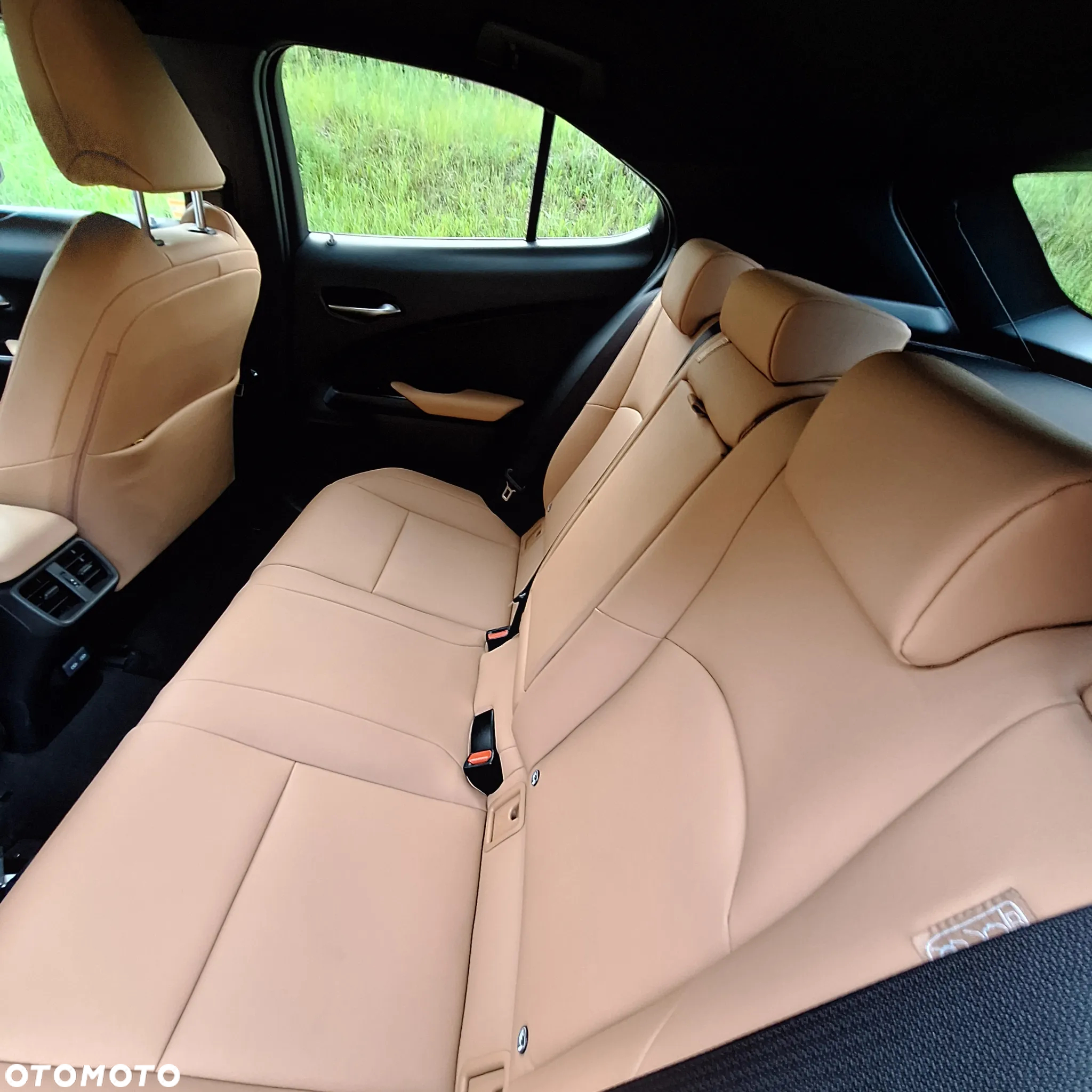 Lexus UX 250h GPF F Sport Design AWD - 10